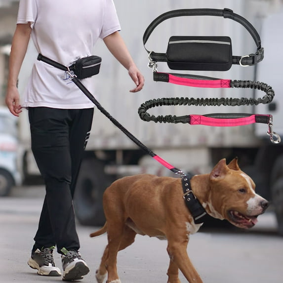 Ovzne Hands Free Dog Leash With Zipper Pouch - 2 Shock-Absorbers, Tear-Resistant Nylon, Soft Padded