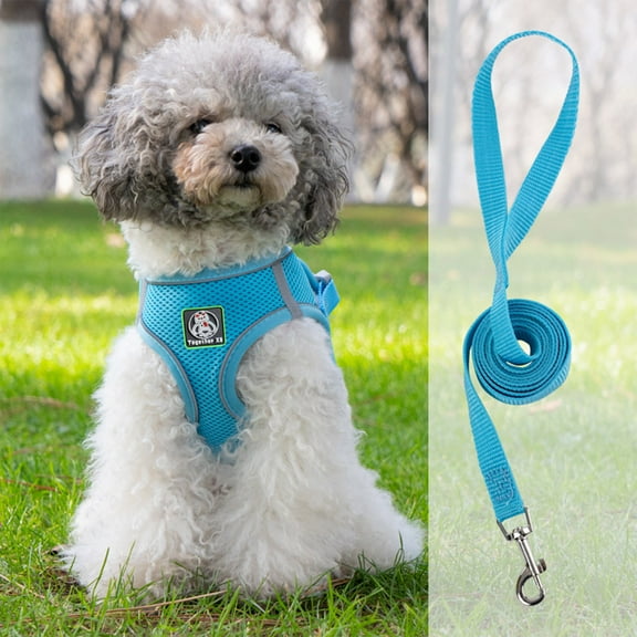 Ovzne Pet Harness Leash Set - 60In (150Cm) Polyester Leash, Soft Breathable Vest With Reflective Strips, Escape-Proof Design For Walking Running
