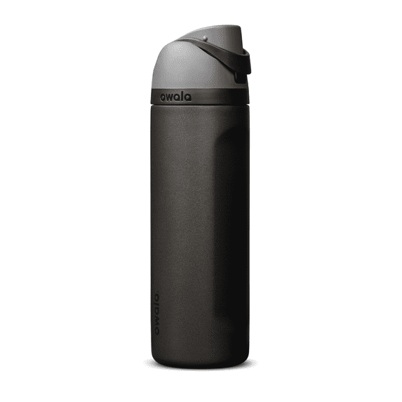 Owala 24oz FreeSip® Stainless Steel Insulated Water Bottle - Nailed It