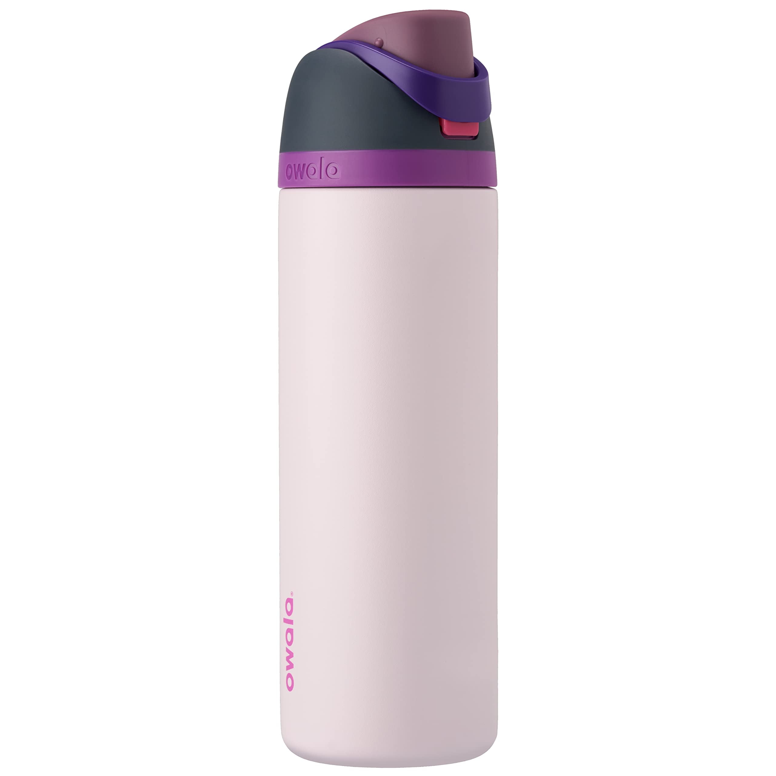Owala Insulated 32 oz Dreamy Field Stainless Steel Water Bottle with