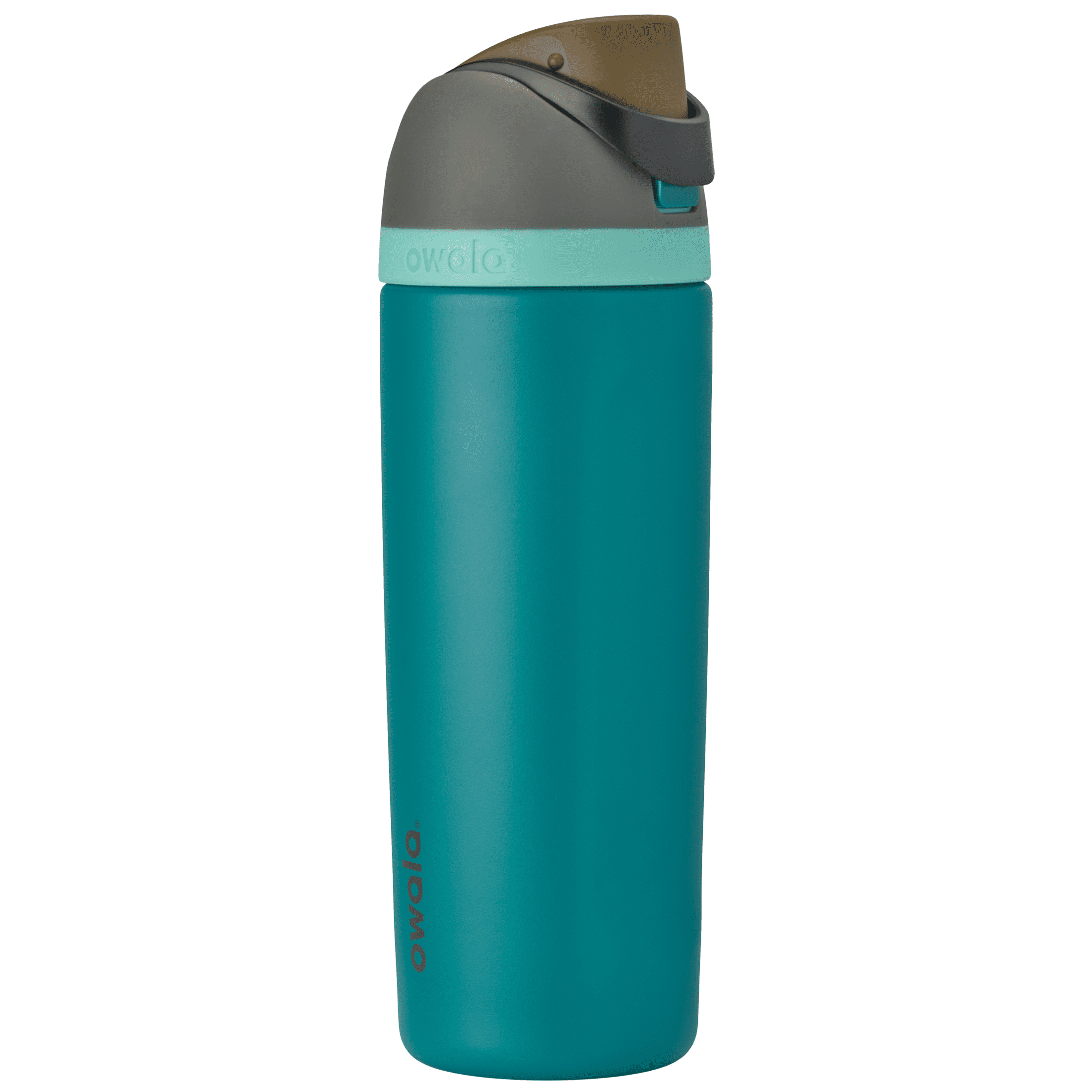 Owala FreeSip Stainless Steel Water Bottle 19oz Black with