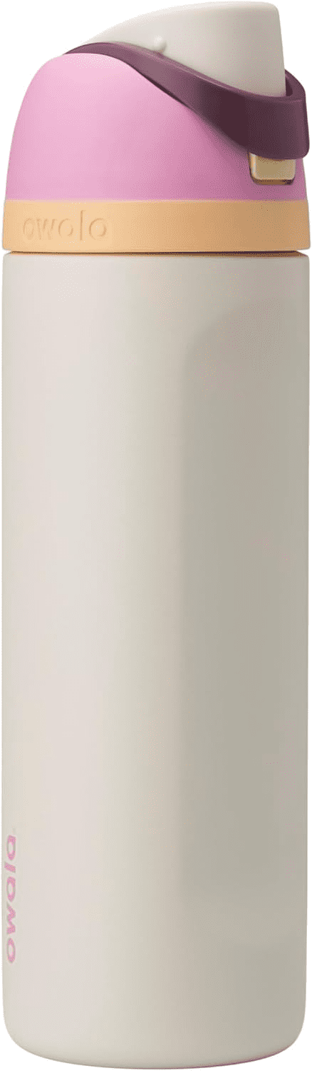Owala FreeSip Stainless Steel Water Bottle, 24oz, Daybreak