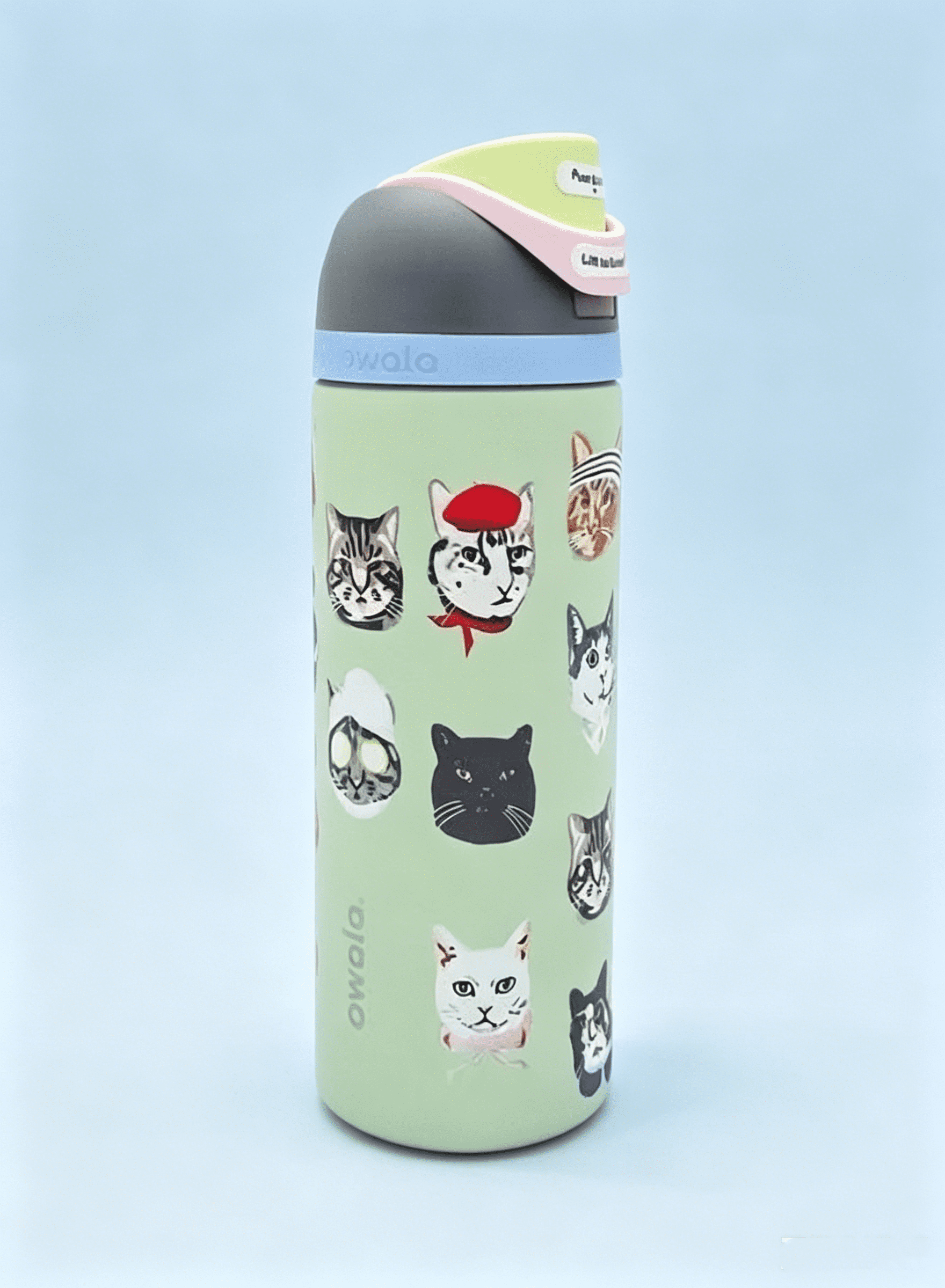 Owala FreeSip Stainless Steel Water Bottle, 24oz cat