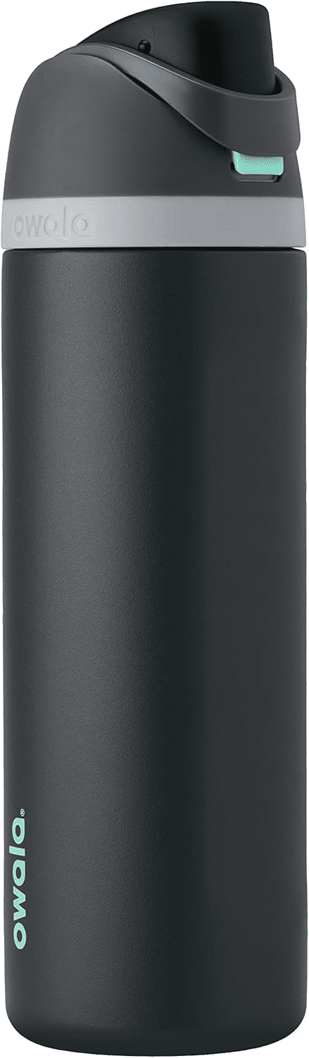 Owala FreeSip Stainless Steel Water Bottle, 24oz, gray black