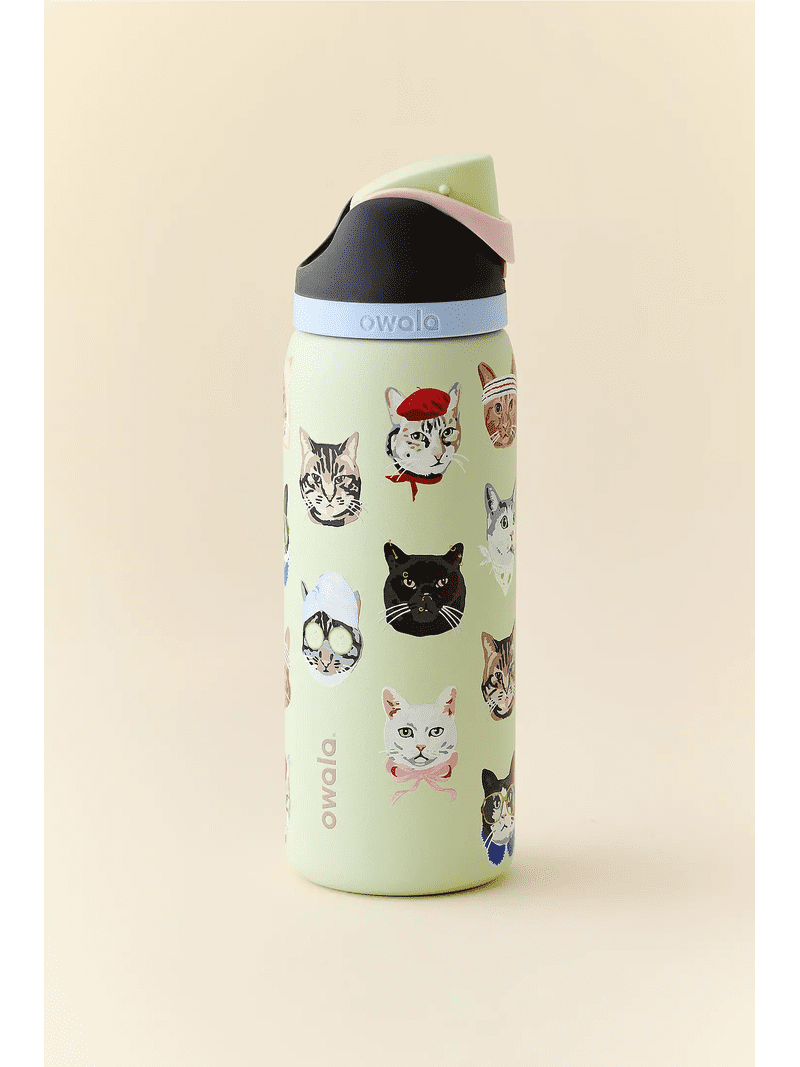 Owala FreeSip Stainless Steel Water Bottle, 32oz cat - Walmart.com