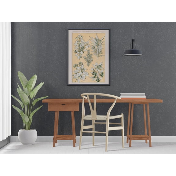 Owen Jones Nature No Leaves Grammar Ornament Modern Wall Art Unframed Paper Print