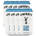 Owen’s Craft Mixers Club Soda HandA with Premium Ingredients Vegan & GlutenFree Soda Mocktail