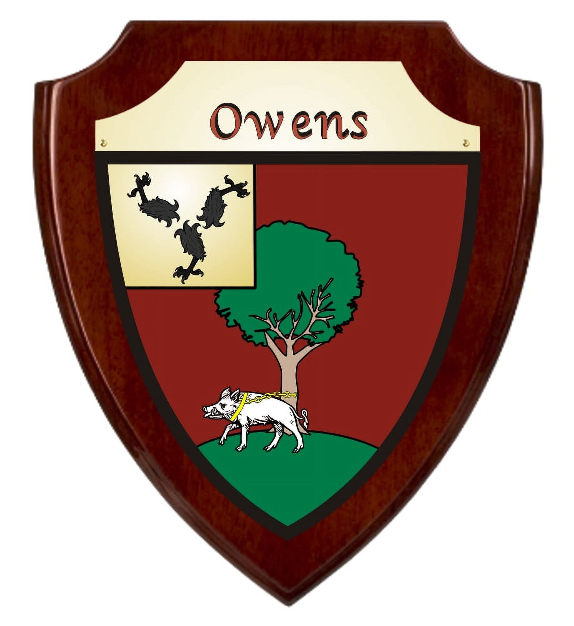 Owens Irish Coat of Arms Shield Plaque - Rosewood Finish