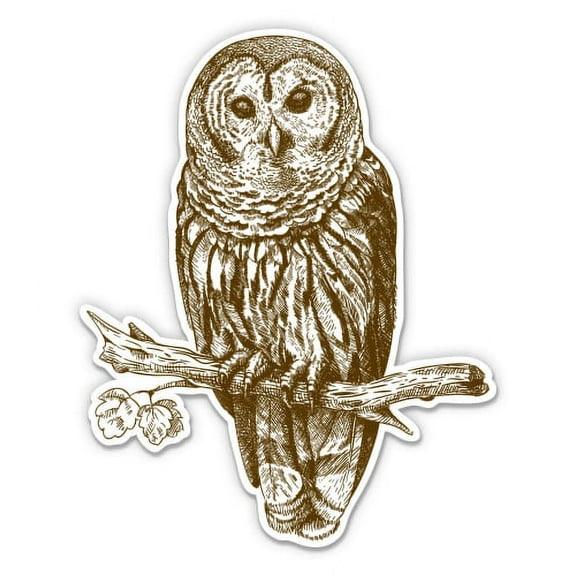 Owl - 12" Vinyl Sticker Waterproof Decal