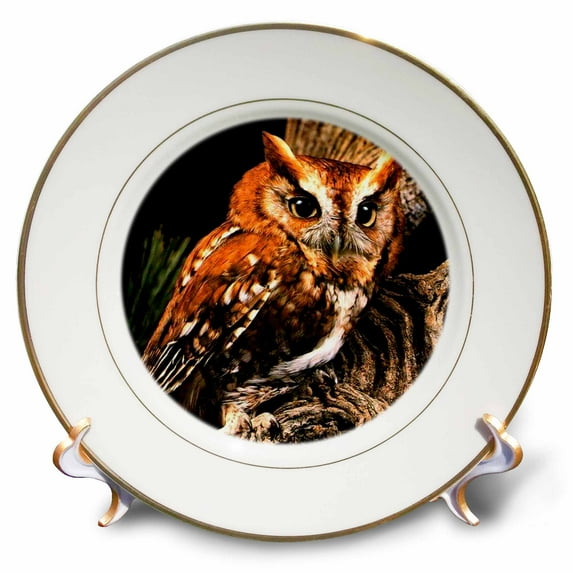3dRose, Owl, 8 inch Porcelain Plate