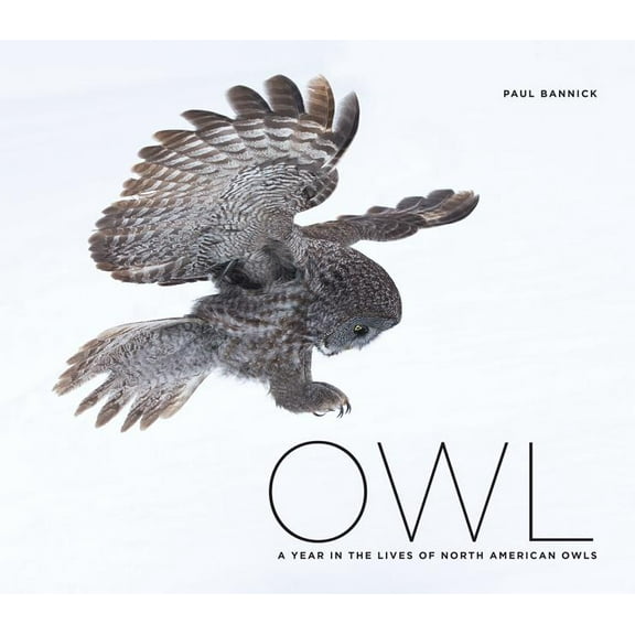 Owl: A Year in the Lives of North American Owls, (Hardcover)