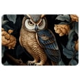 thumbnail image 1 of Owl Area Rugs: Polyester Non-Slip Kitchen Mat Office Rug - Machine Washable, 1 of 6