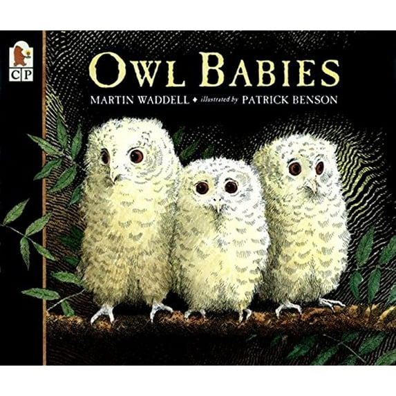 Pre-Owned Owl Babies (Paperback) 0763617105 9780763617103