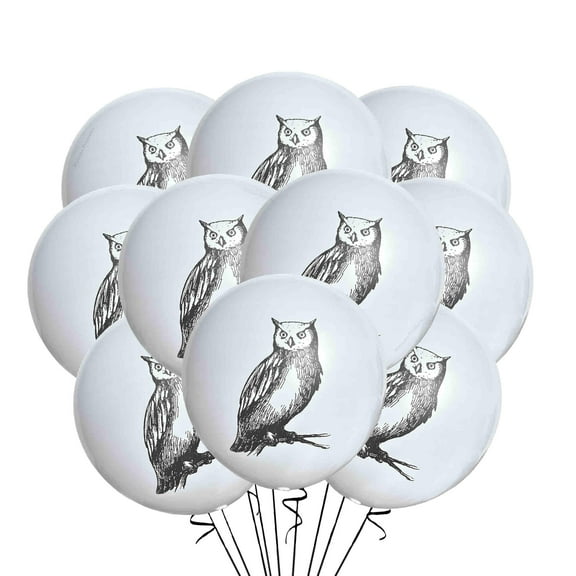 Owl Balloons Latex 12 DHF10Count, Minimalist Owl Balloons for Birthday Party Baby Shower Classroom Decoration, Cute Owl Birthday Theme Party Supply, 12 Inch Standard Size