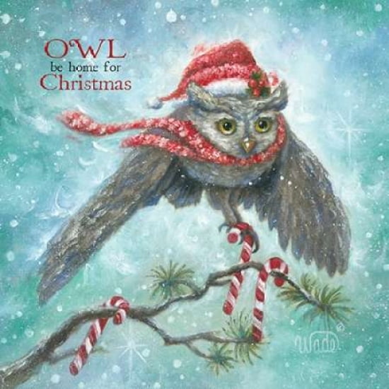 Owl Be Home for Christmas Canvas Art - Vickie Wade (24 x 24)