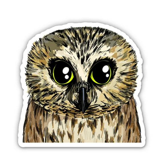 Owl Big Eyes Pretty - 3" Vinyl Sticker - For Car Laptop Water Bottle Phone - Waterproof Decal