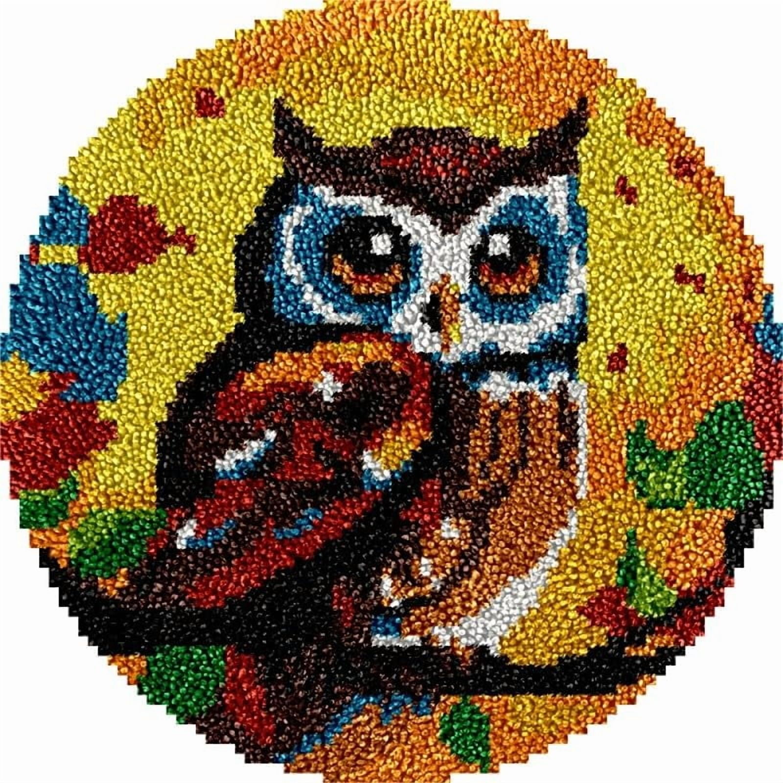 Owl Bird Round Shape Latch Hook Rug Kits Set for Starter Crochet Hook Cushion Mat Sofa Seat Cushion Crocheting Kits with Preprinted Canvas Crochet Yarn Kits 50X50cm (ui101)