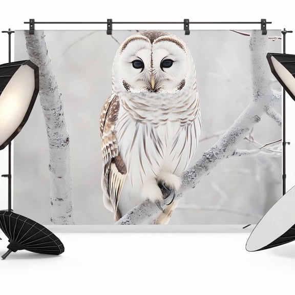 Owl On Branch Backdrop for Photography,Fabric Photo Background Backdrop,Framhouse Winter Landscape Tree Birds Photo Booth Background for Portrait Photoshoot Video Wedding Decoration Banner 7x5ft