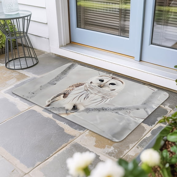 Owl On Branch Door Mat Indoor Outdoor, Framhouse Winter Landscape Tree Birds Non Slip Welcome Mat with Rubber Backing, Absorbent Fabric Front Door Mats Entryway Rug for Home Patio Entrance 24"x36"