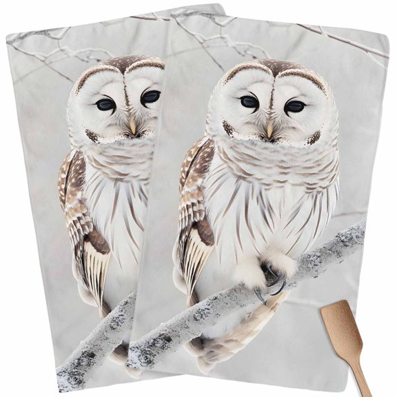 Owl On Branch Kitchen Towel Dish Cloths Set of 2, Microfiber Soft Kitchen Hand Towels, Framhouse Winter Landscape Tree Birds Absorbent Quick Drying Dishcloths 18 x 28 Inches