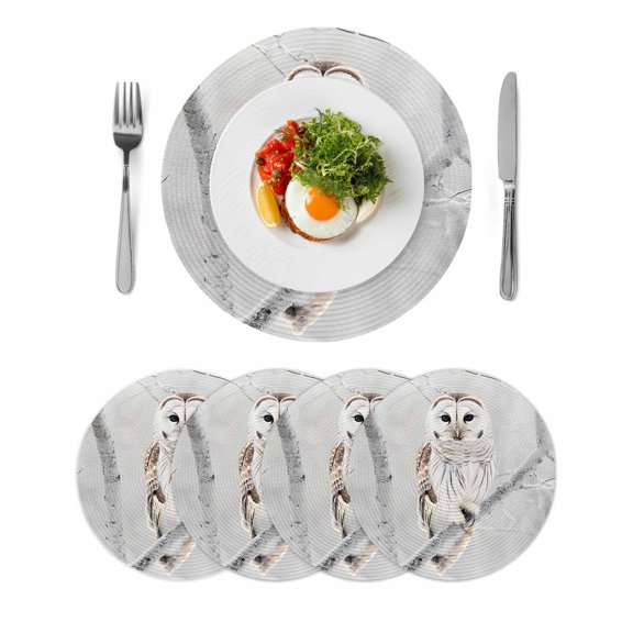 Owl On Branch Round Placemats Set of 4 for Dinning Tables,Heat-proof Braided Table Mats 13 Inch,Framhouse Winter Landscape Tree Birds Washable Place Mat for Kitchen Restaurant Party Table Decor