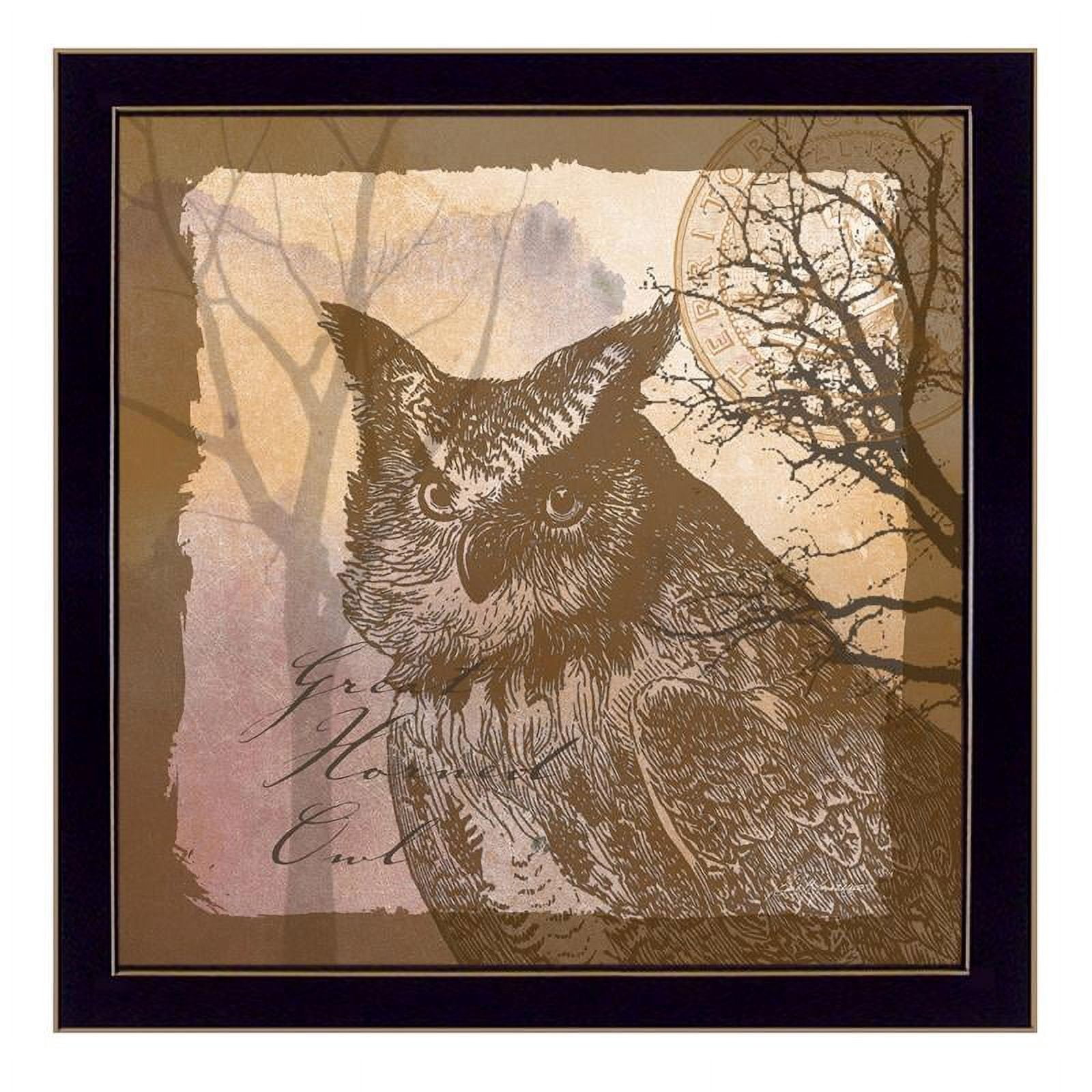 Owl By Barb Tourtillotte Printed Framed Wall Art Wood Multi-Color ...