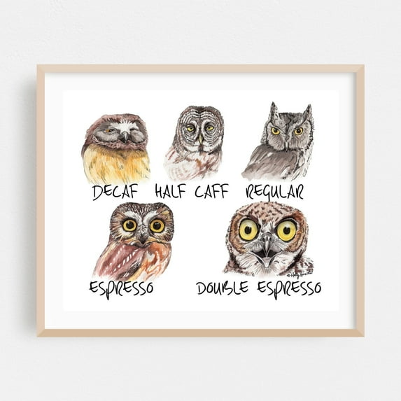 Owl Caffeine Meter - Painting Humor Coffee Quote Bird Nature Oak Framed Wall Art Print 12 x 16 inches