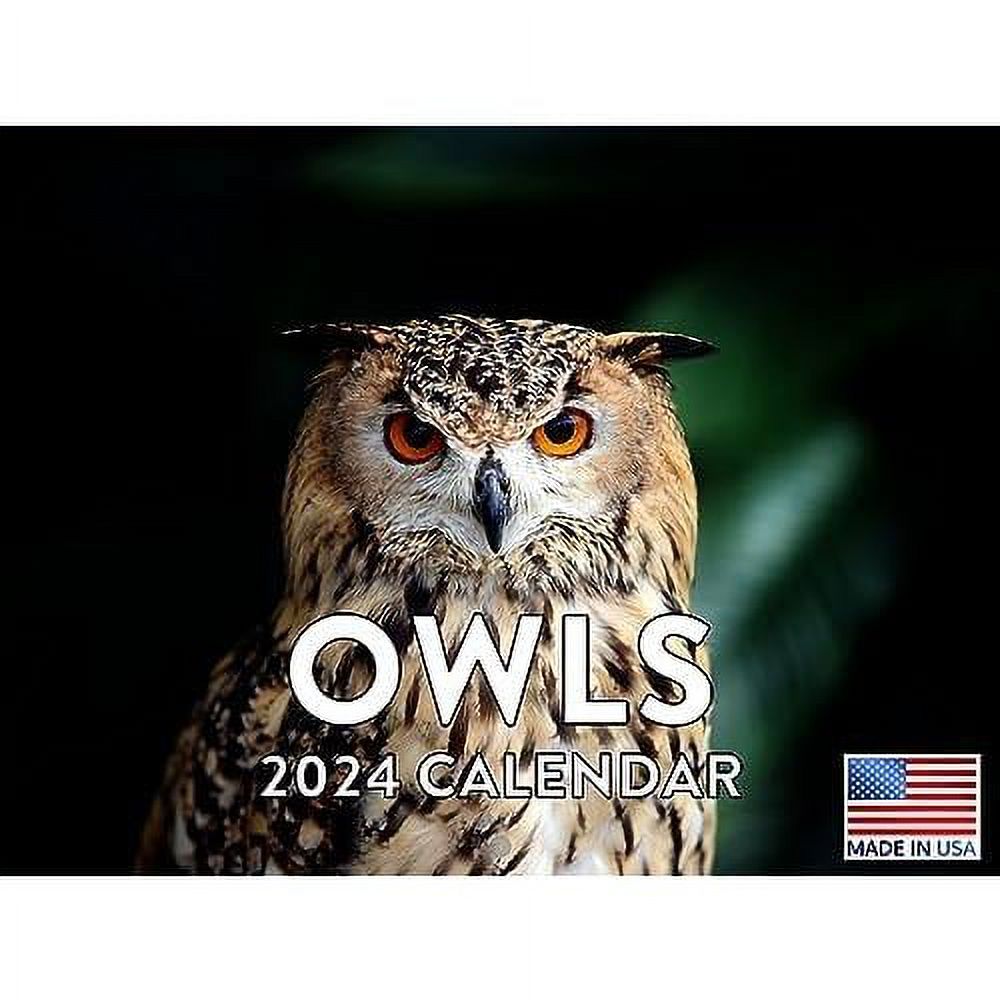 Owl Calendar 2024 Wall Calendar