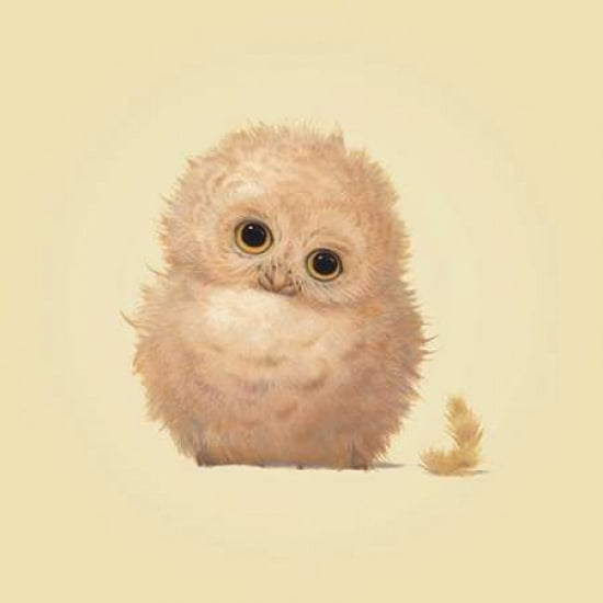 Owl Canvas Art - John Butler (24 x 24)