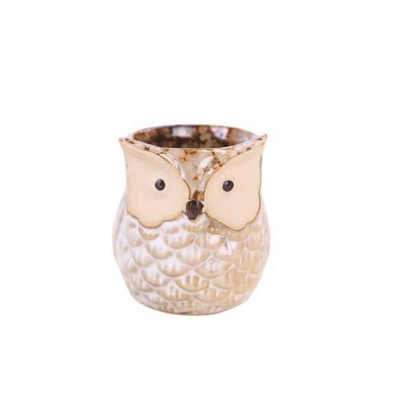 Owl Ceramic Flower Pot Succulent Planter Home Garden Decor Creative Plant Container