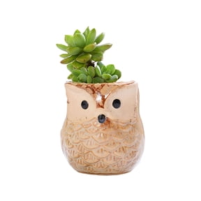Owl Ceramic Planters Plant Pots - Small Cute Flower Pots Succulent Plant Holder Container with Drainage Hole Pen Pencil Holder Cute Owl Flower Planters for Indoor Outdoor Plants