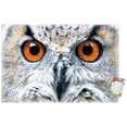 thumbnail image 1 of Owl - Close Wall Poster, 22.375" x 34", 1 of 5