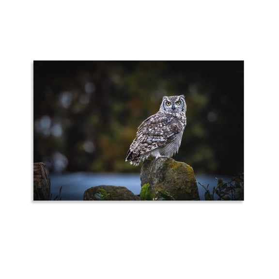Owl Cute Bird Animal-b Artworks Canvas Poster Room Aesthetic Wall Art Prints Home Modern Decor Gifts 08x12inch(20x30cm)