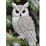 Owl Diamond Art Pearl Painting Kits for Adults,Special Shape Diamond Art Kits for Birds Owl, DIY 3D Plastic Pearl Painting Kit for Home Decoration 12   16 inch