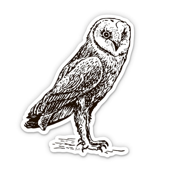 Owl Drawing - 3" Vinyl Sticker - For Car Laptop Water Bottle Phone - Waterproof Decal