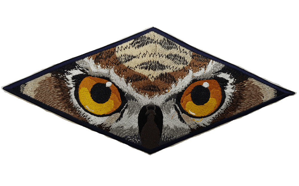 Owl Eyes Embroidered Patch 9" x 4"