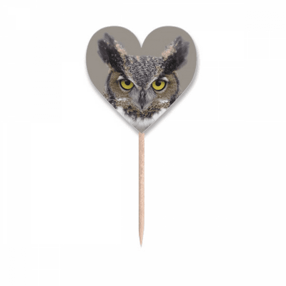 Owl Eyes Pupil Night Art Deco Fashion Toothpick Flags Heart Lable Cupcake Picks