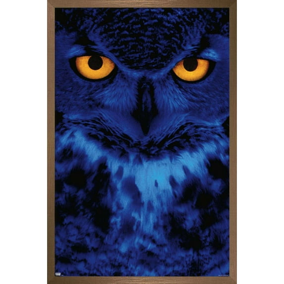 Owl - Eyes Wall Poster, 14.725" x 22.375", Framed