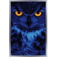 thumbnail image 1 of Owl - Eyes Wall Poster, 14.725" x 22.375", Framed, 1 of 3