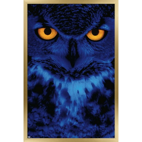 Owl - Eyes Wall Poster, 22.375" x 34", Framed