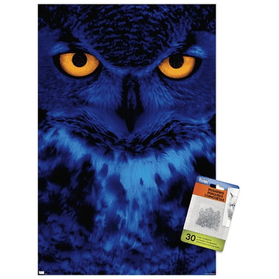 Owl - Eyes Wall Poster with Push Pins, 14.725" x 22.375"