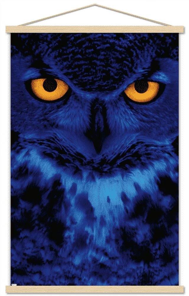 Owl - Eyes Wall Poster with Wooden Magnetic Frame, 22.375" x 34"