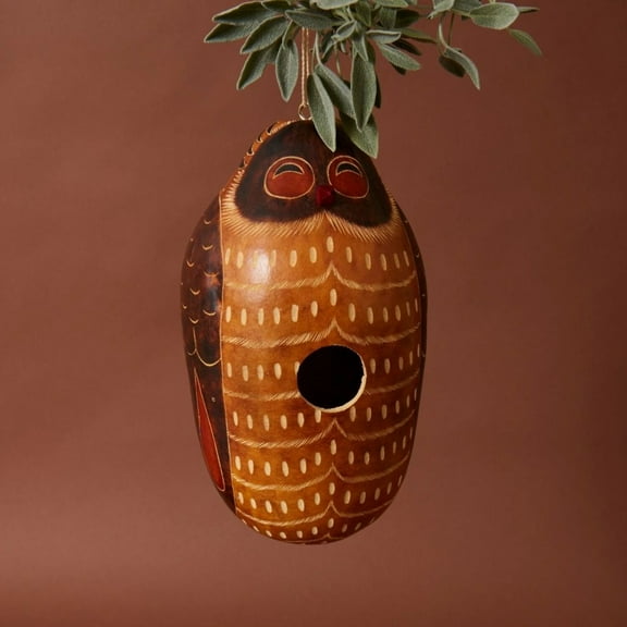 Owl Gourd Bird House