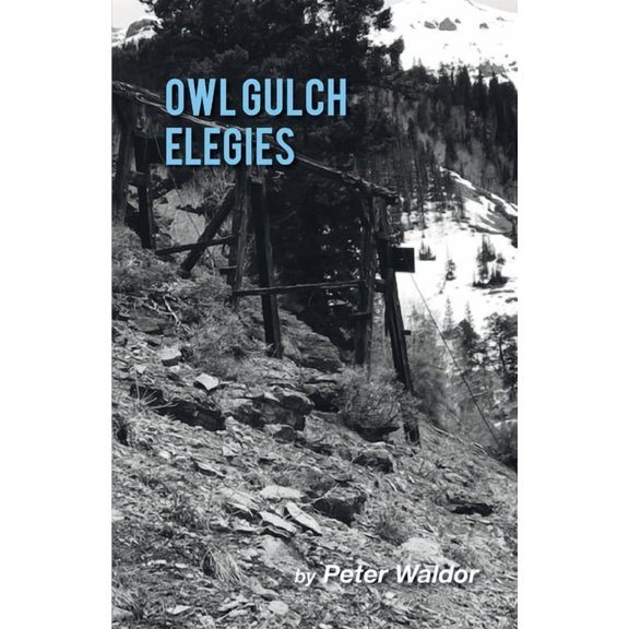 Owl Gulch Elegies (Paperback)