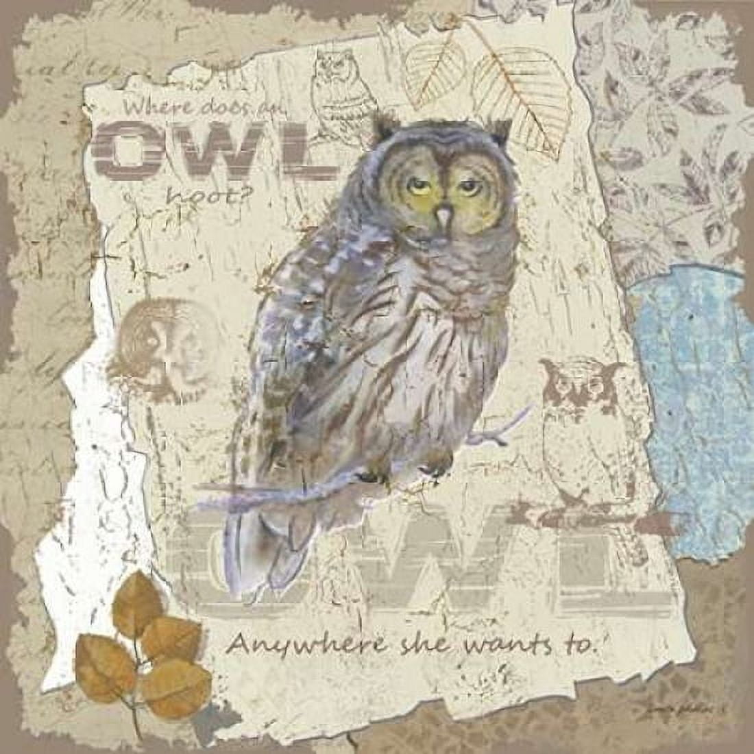 Owl Hoot Canvas Art - Anita Phillips (24 x 24)