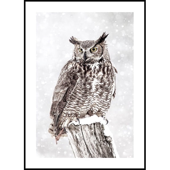 Owl In Snowfall Poster Wall Art, Modern Wall Decor For Living Room Bedroom, 24x36 UNFRAMED