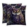 thumbnail image 1 of Owl Inserts Set - 2-Pack Decorative Pillows with Unique Patterns for Throw Pillow Covers for Home Decor, Sofa, Bed - Available in 16x16, 18x18 & 20x20, 1 of 6