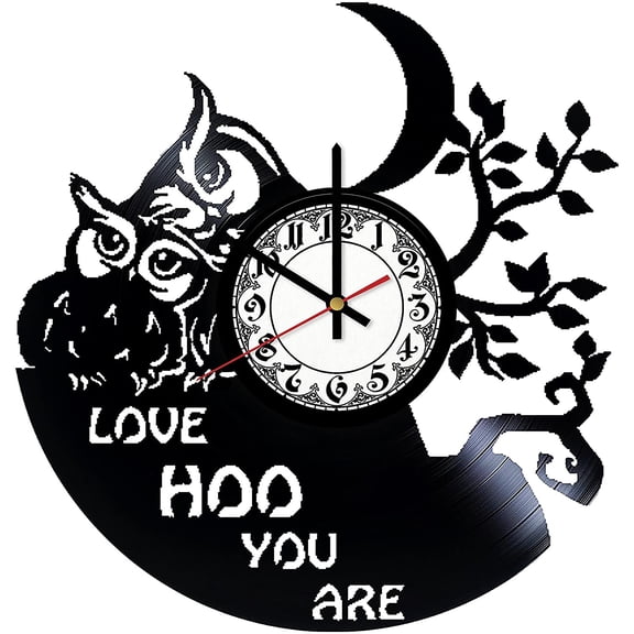 Owl Love hoo you are art Vintage Black Vinyl Record Wall Clock Wall Art 3D Modern Design Office Bar Room Home Decor Gift