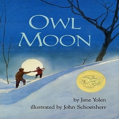 Pre-Owned Owl Moon (Paperback) 0399238514 9780399238512