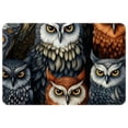 thumbnail image 1 of Owl Non-Slip Polyester Floor Rug Mat, Machine Washable Floor Mats, 1 of 6